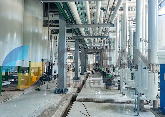 Пальмовое масло оборудования прессы постного масла OEM делая машину