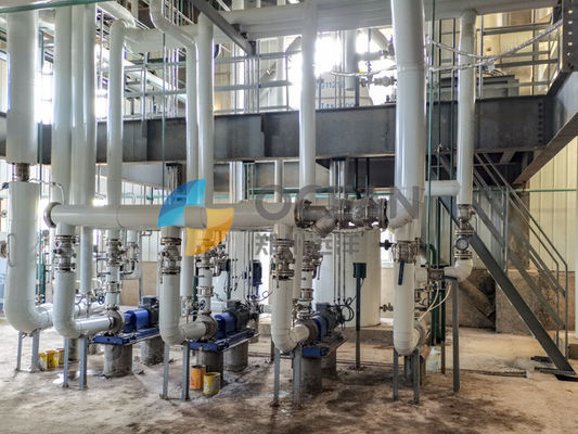 Рапсы смазывают масличные семена завода Pretreatment обрабатывая 30-1500TPD